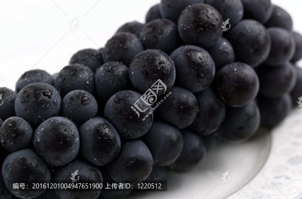 食品和菜肴