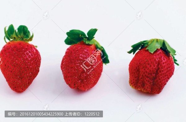 食品和菜肴