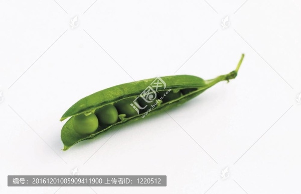 烹飪和美食