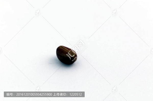 烹飪和美食
