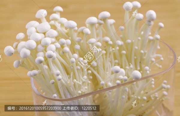 烹飪和美食