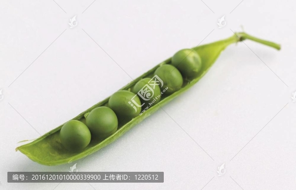 烹飪和美食