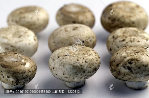 烹飪和美食