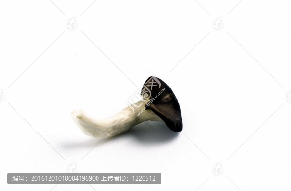 烹飪和美食