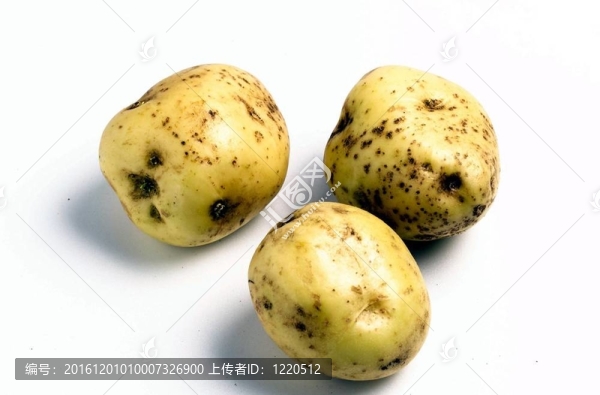烹飪和美食
