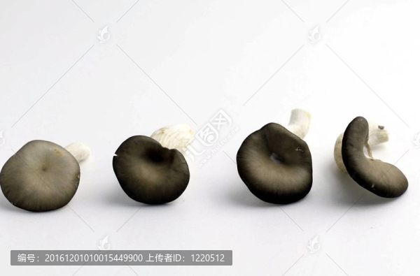 烹飪和美食