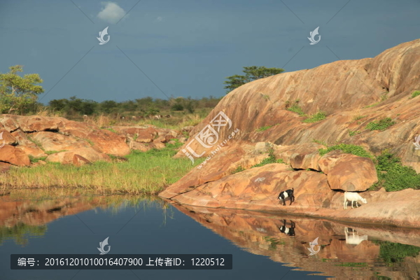 abuket河；烏干達；非洲