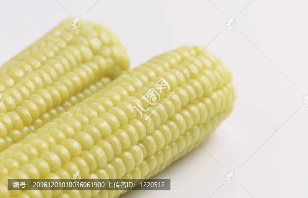 烹飪和美食