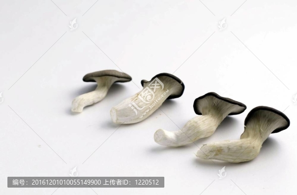 烹飪和美食