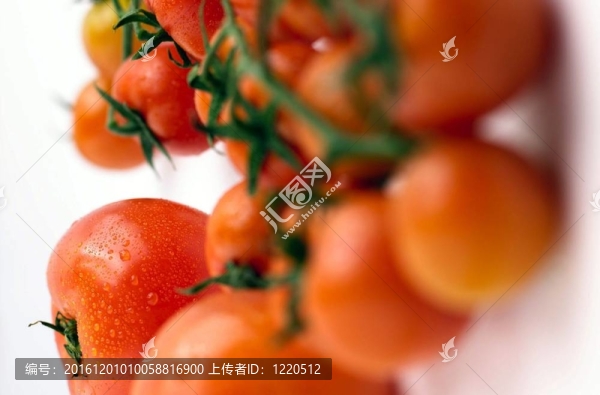 烹飪和美食
