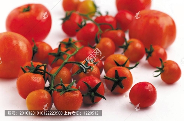 烹飪和美食
