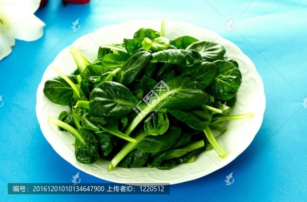 烹飪和美食