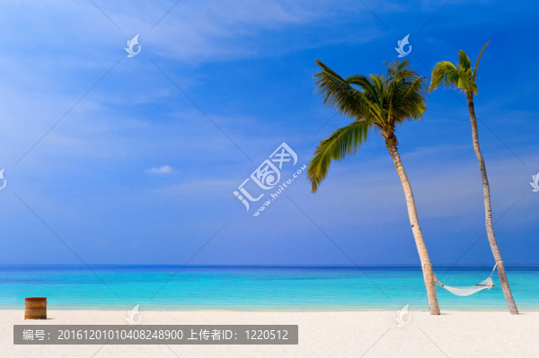 在一個熱帶海灘吊床
