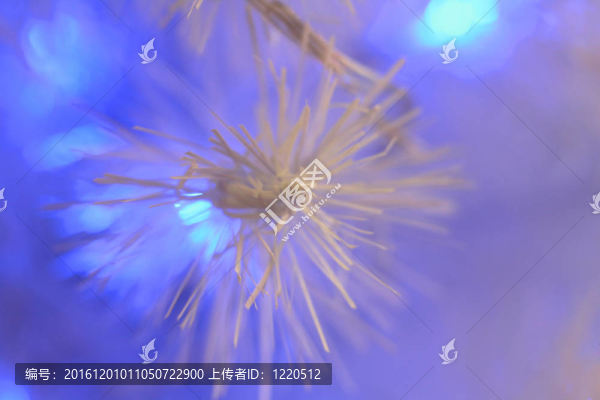新年的抽象
