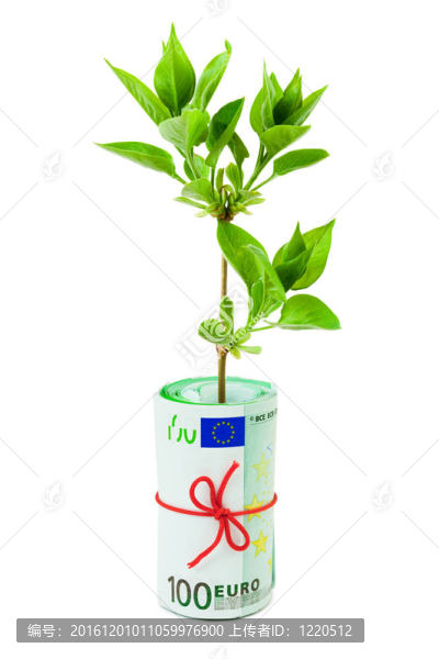 貨幣和植物卷