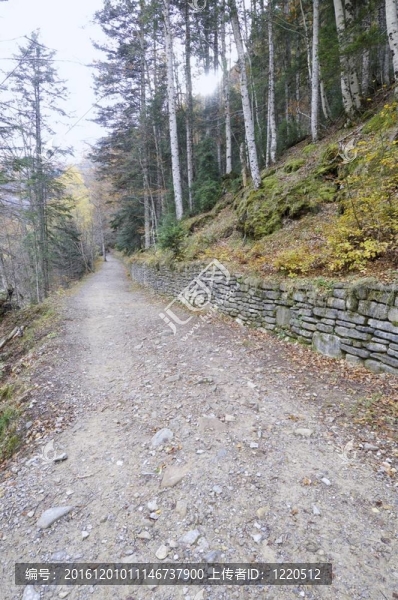 登山步道