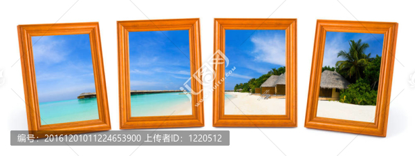 幀中的熱帶海灘全景