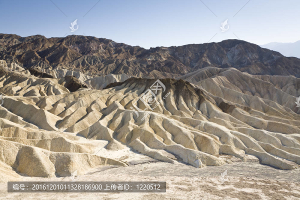 無限春光在險峰