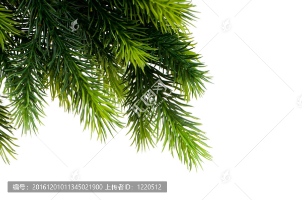 白色背景下的圣誕裝飾