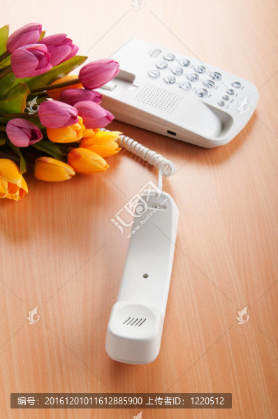 浪漫的概念與電話和郁金香花