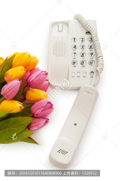 浪漫的概念與電話和郁金香花