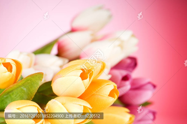 桌上五顏六色的郁金香花束