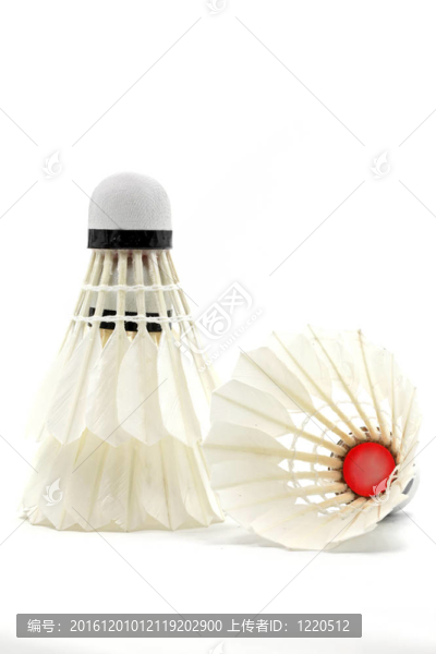 羽毛球