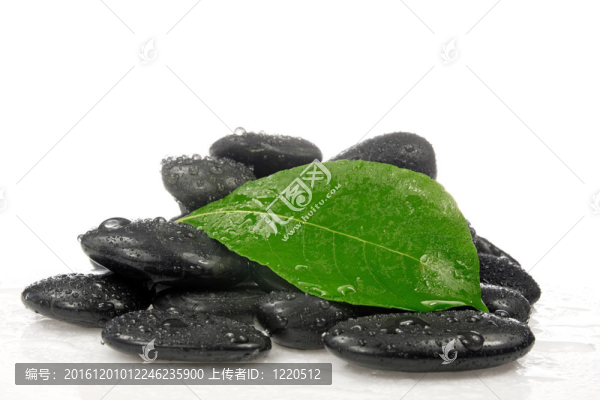 綠葉禪石