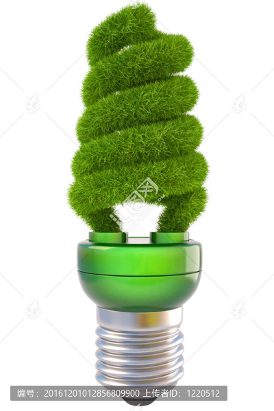電燈泡