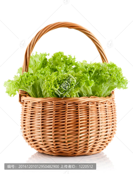 綠葉生菜放在籃子里