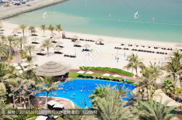 游泳池健身操；迪拜；UAE