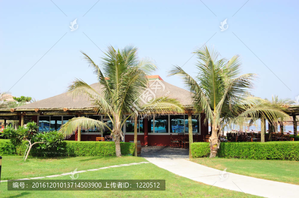 海灘酒吧；迪拜；UAE