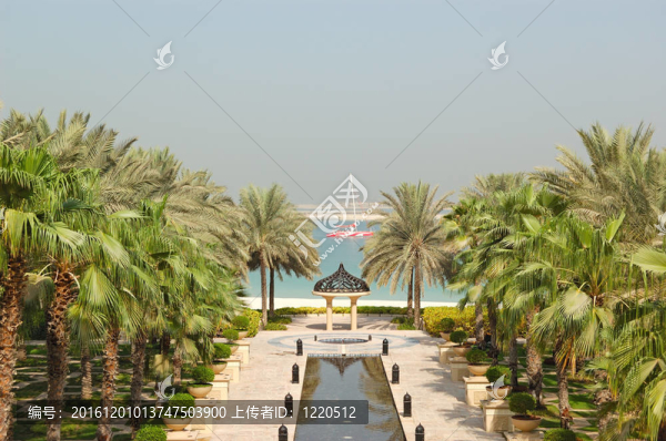 迪拜市酒店休閑區(qū)棕櫚樹；浙江省；UAE
