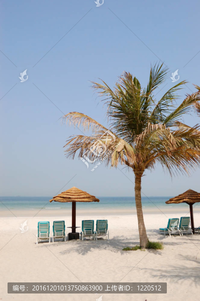 豪華酒店的海灘；阿吉曼；UAE