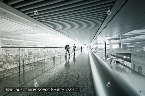 運動旅行