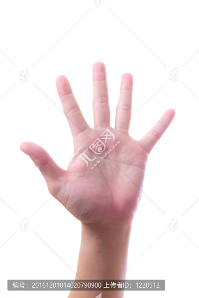 手簽的分離