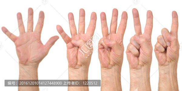 男性的手?jǐn)?shù)