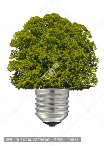 帶綠色樹(shù)的電燈