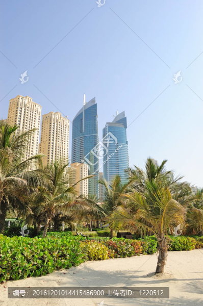 豪華酒店休閑區(qū)；迪拜；UAE