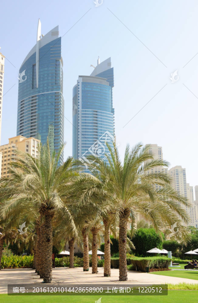 迪拜市中心的棕櫚巷；UAE