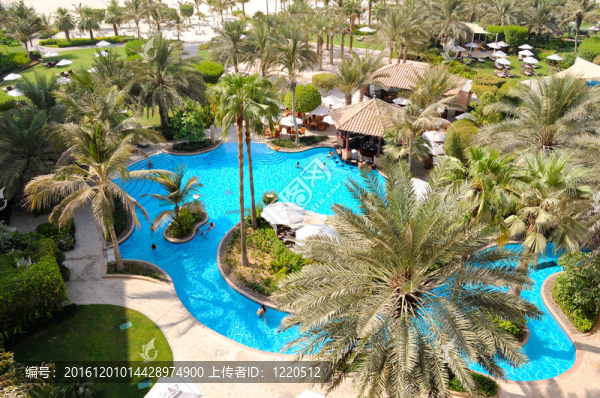 UAE；酒店娛樂區(qū)；游泳池；迪拜