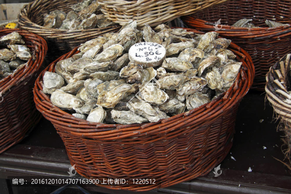 康卡勒牡蠣市場；法國