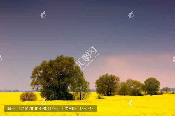春天的風景