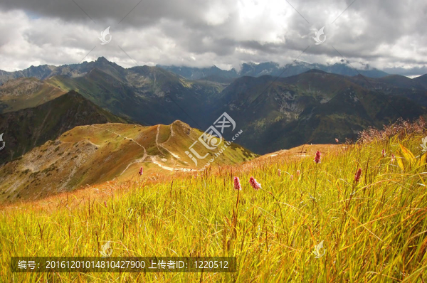 山暴風雨的景觀