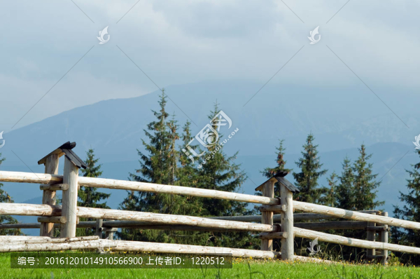 山地景觀
