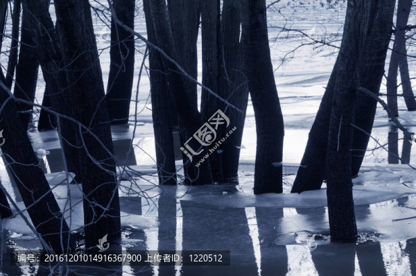 水里的樹；黃昏的心情