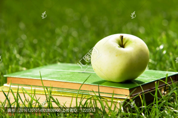 蘋果上的一堆關(guān)于草的書