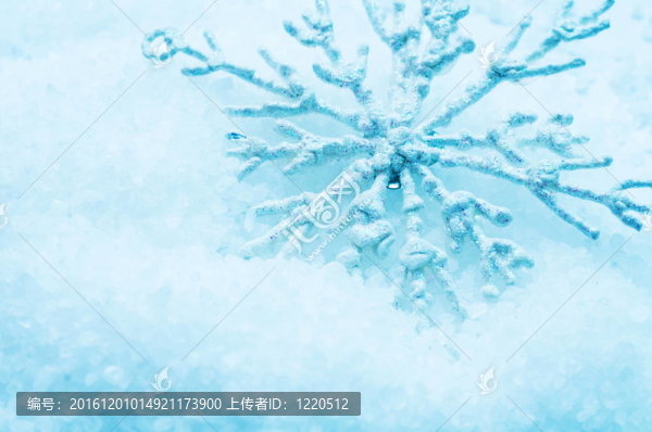 雪花在雪中。圣誕節(jié)