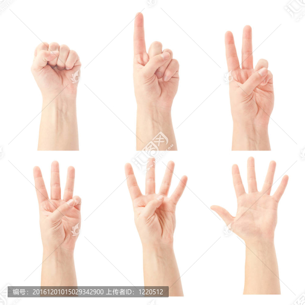 計(jì)算人的手（0至5）孤立在白色背景