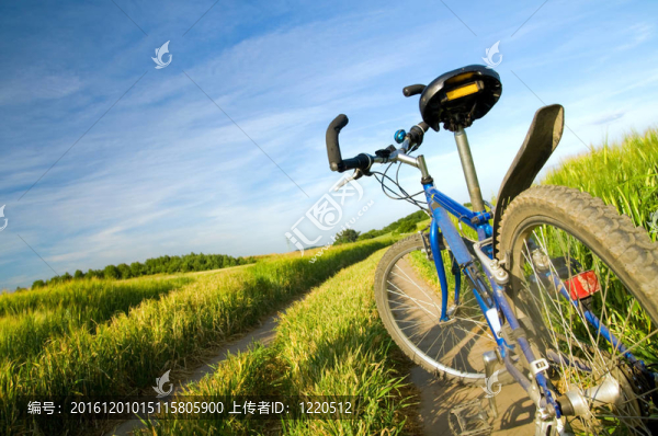 夏季場(chǎng)上的自行車